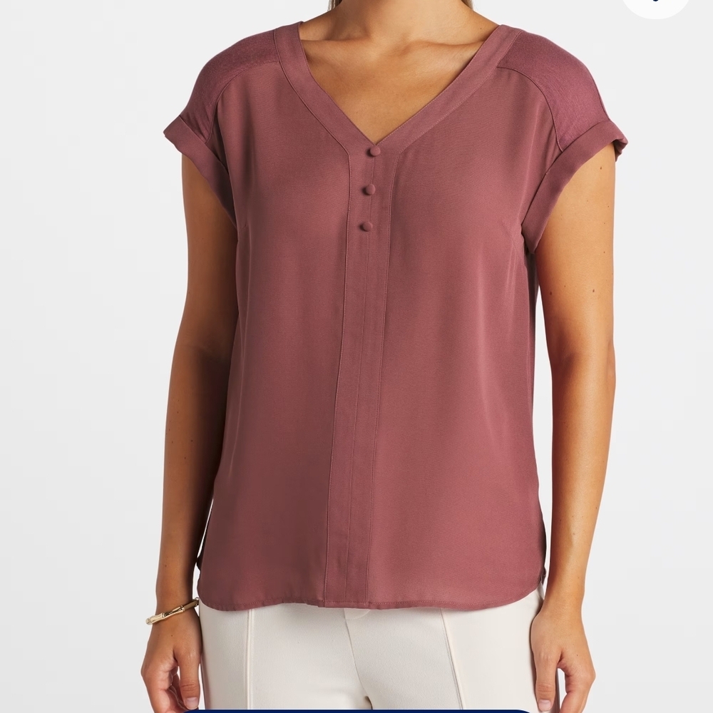 Elegant Plum V-Neck Blouse